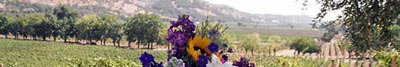 Napa Valley wedding gallery