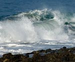 Waves Gallery